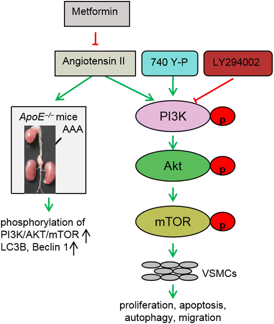 Fig. 8