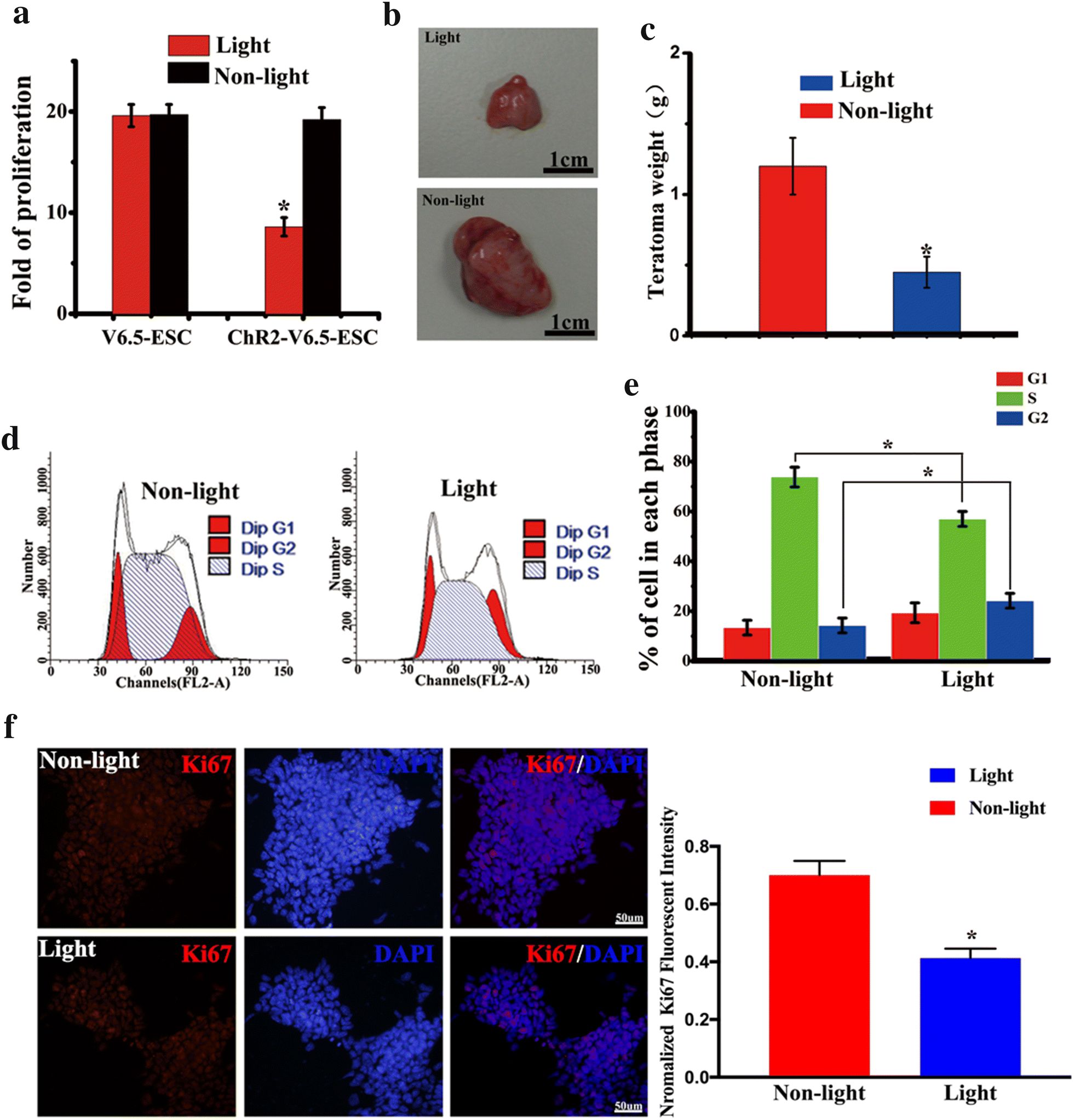 Fig. 3