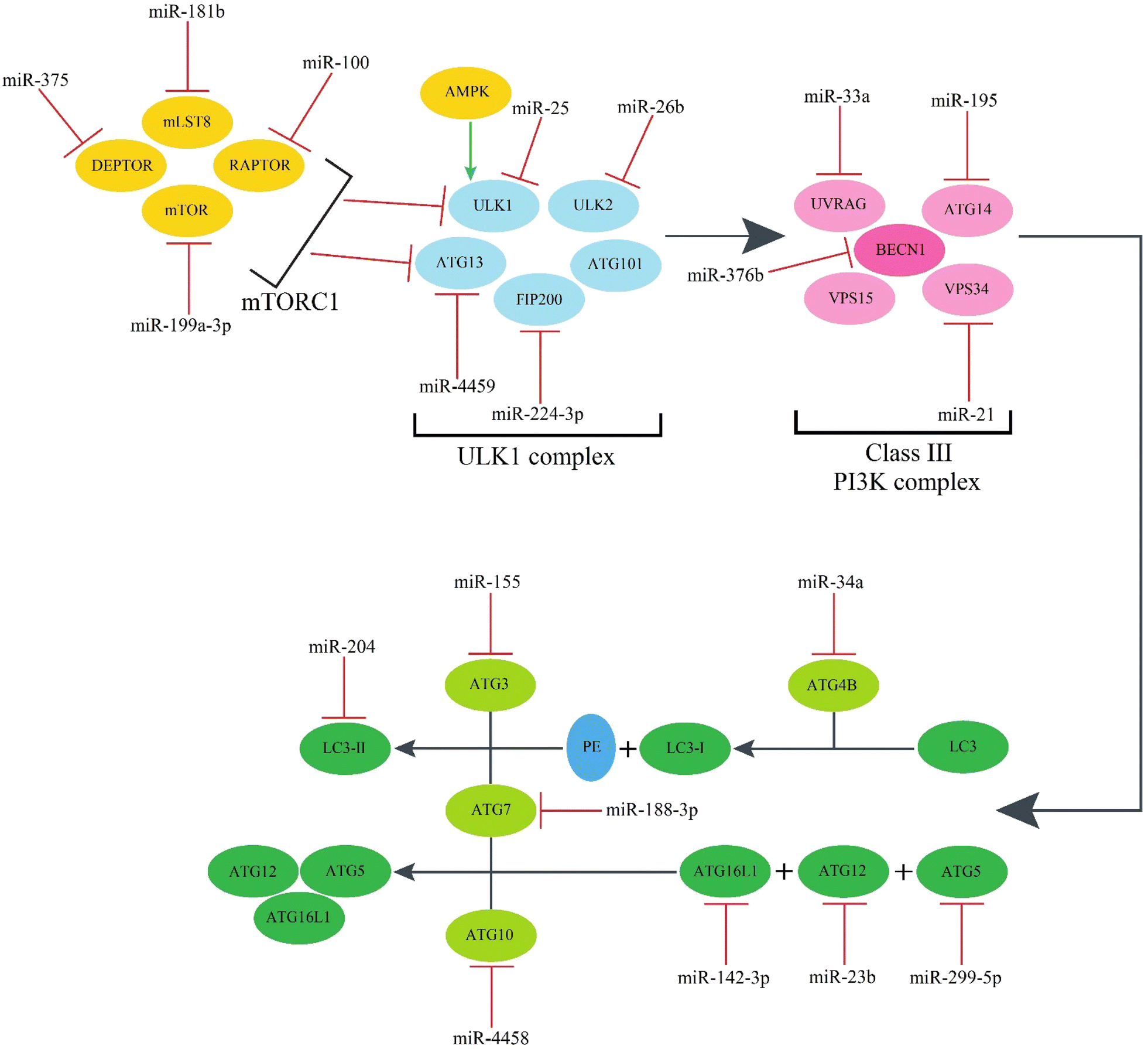 Fig. 3