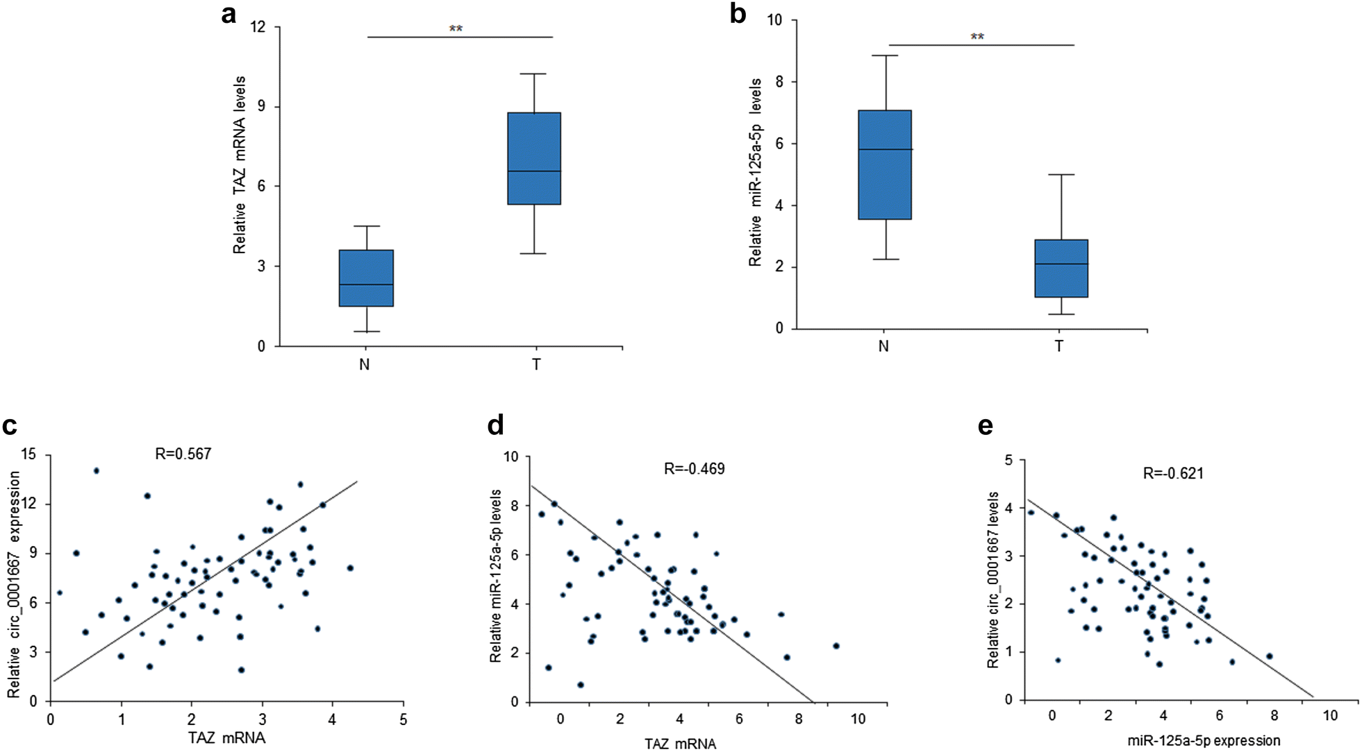 Fig. 6