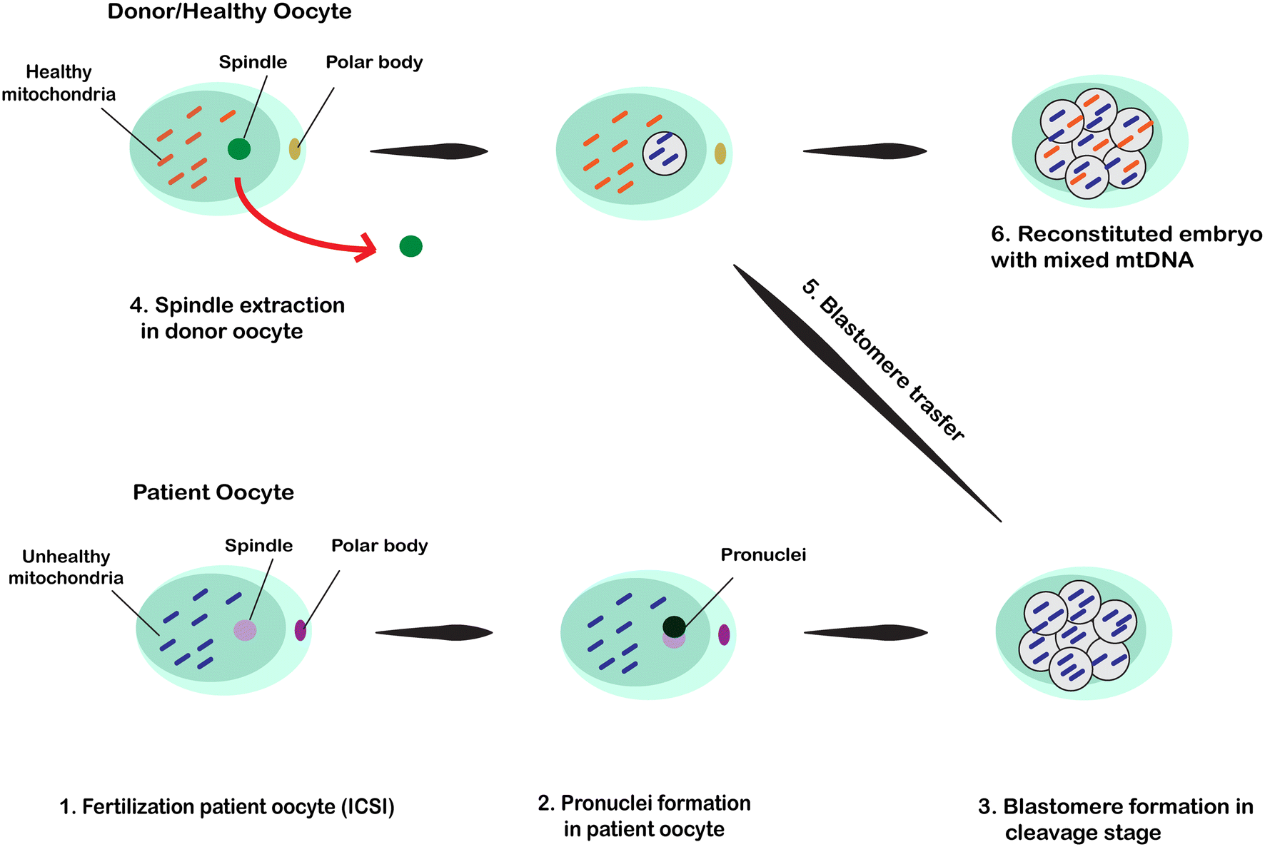 Fig. 3