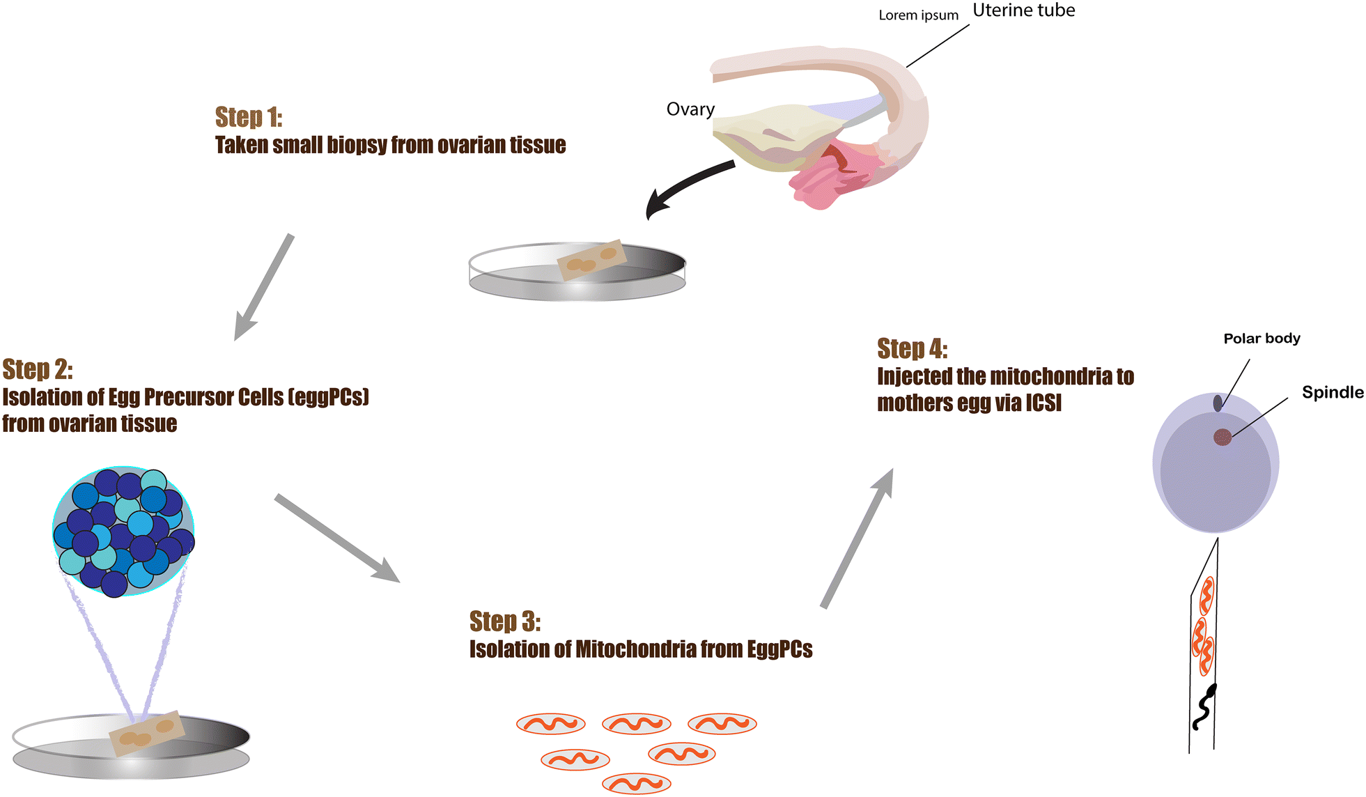 Fig. 6