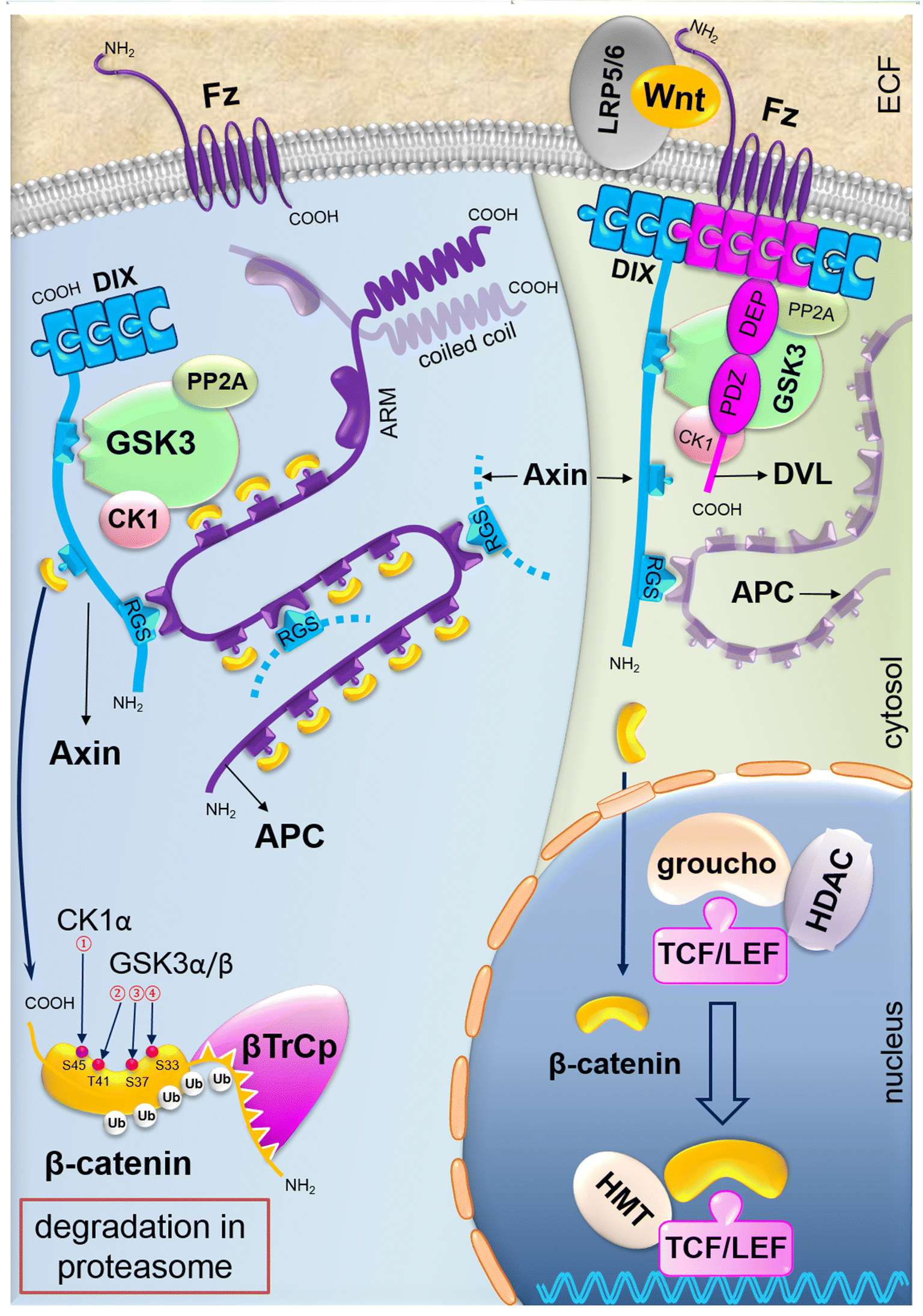 Fig. 4