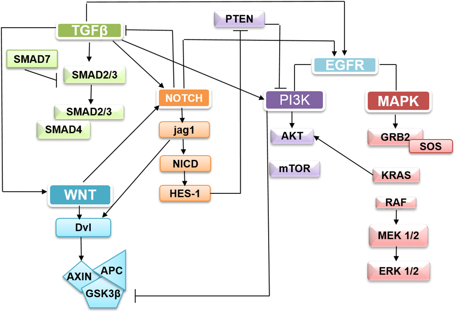 Fig. 5