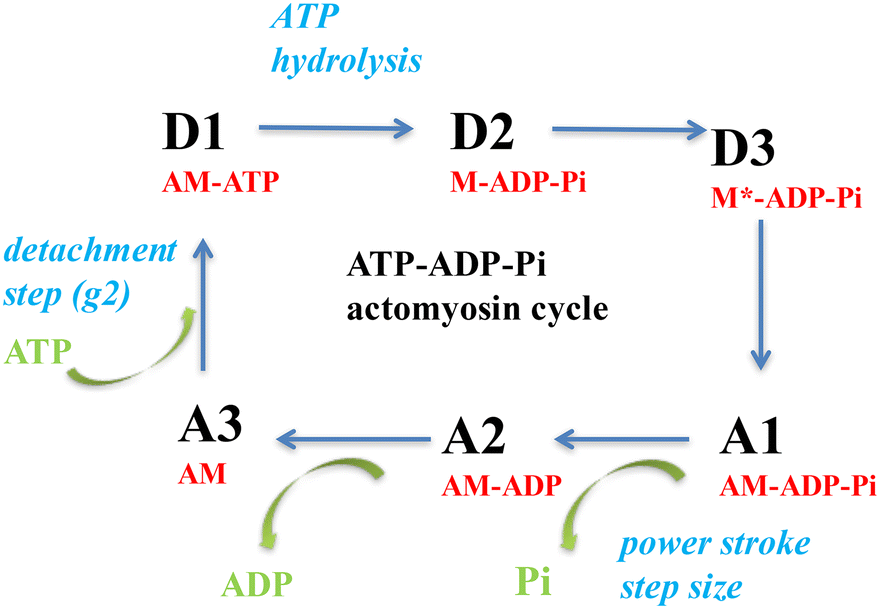 Fig. 1