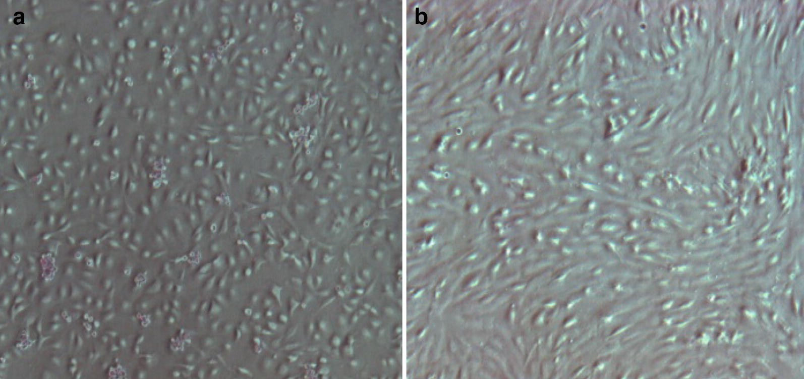 Fig. 5