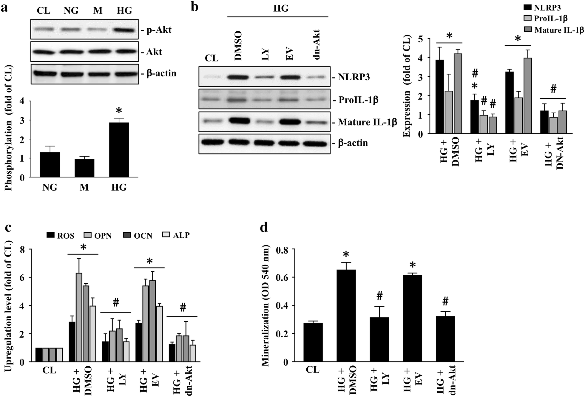 Fig. 4