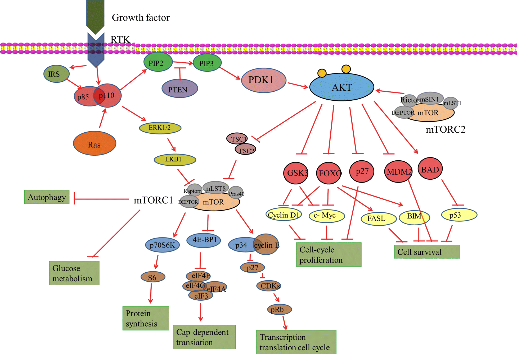 Fig. 1