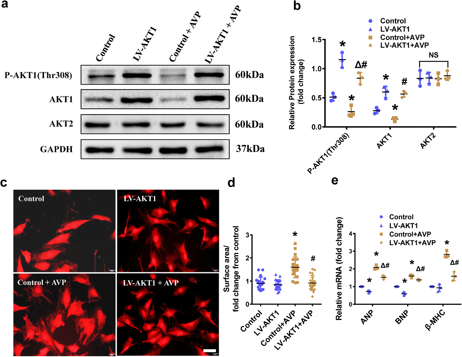 Fig. 3