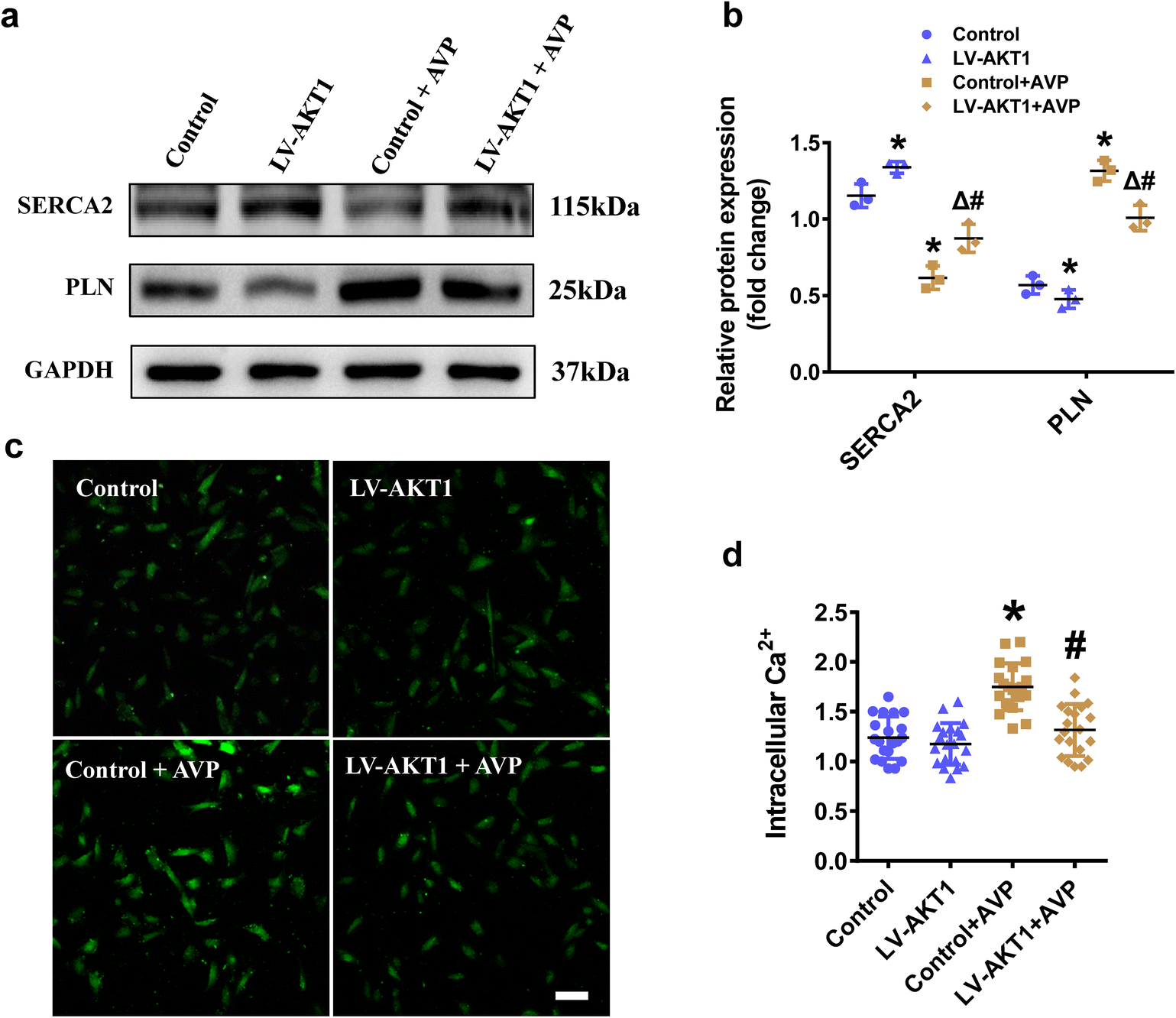 Fig. 4