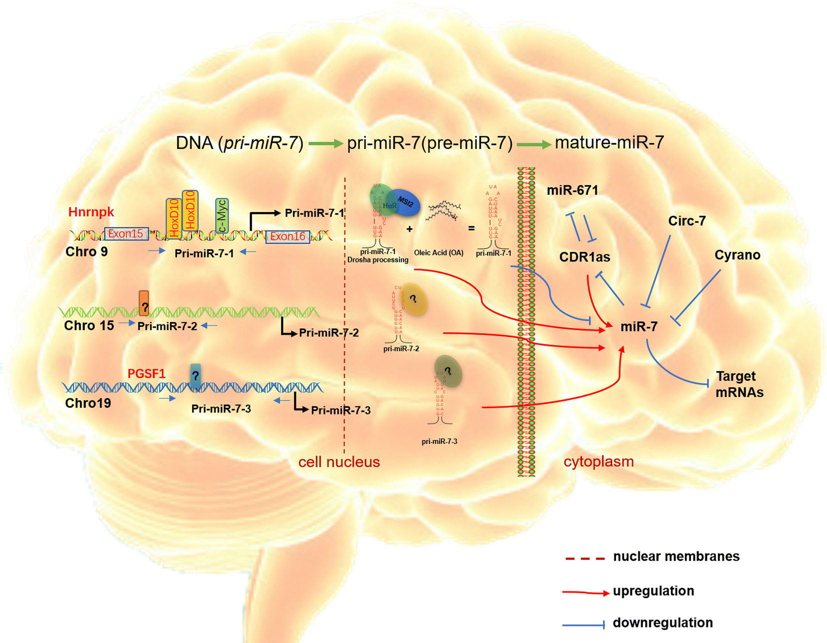 Fig. 2