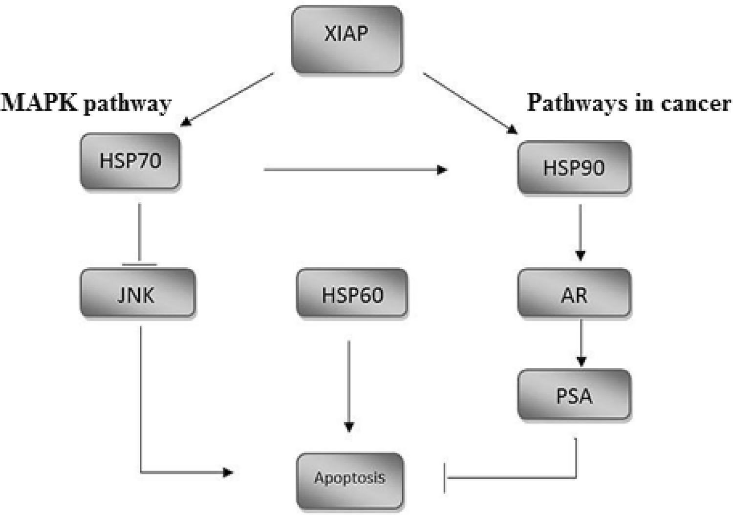 Fig. 6