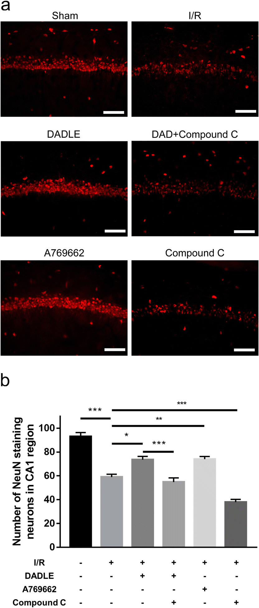 Fig. 6