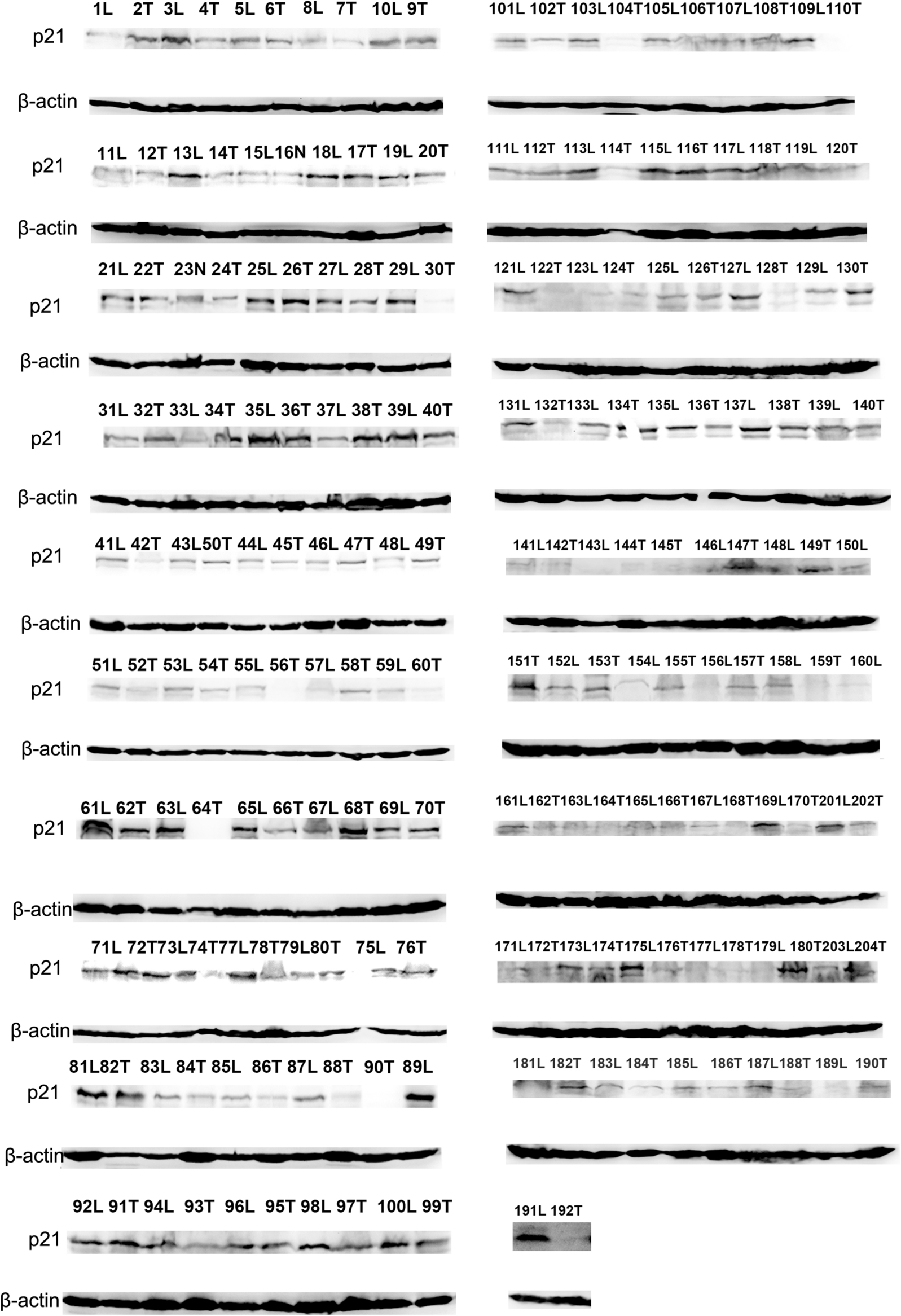 Fig. 6