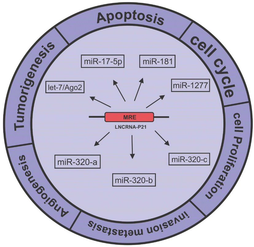 Fig. 5