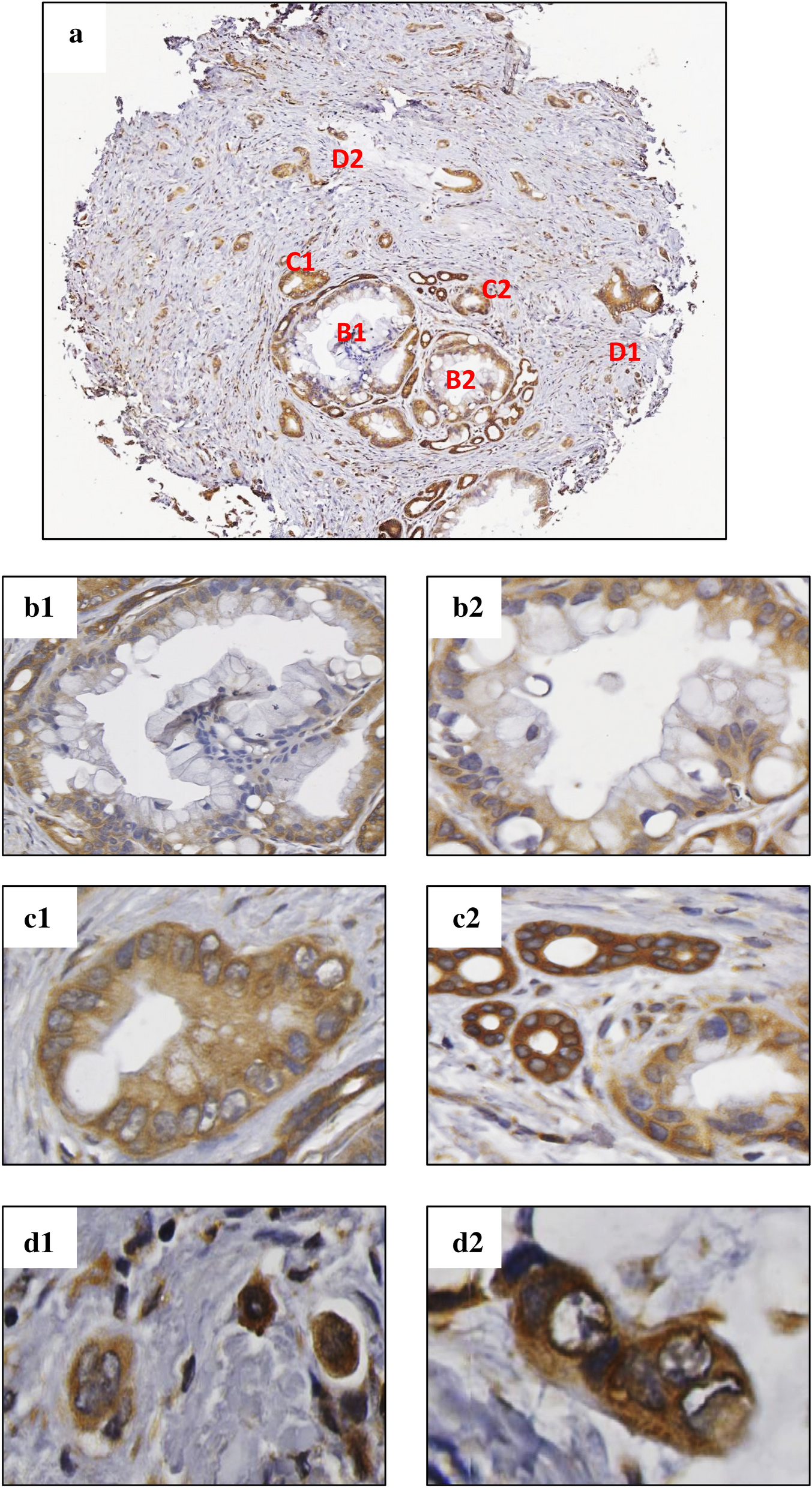 Fig. 2