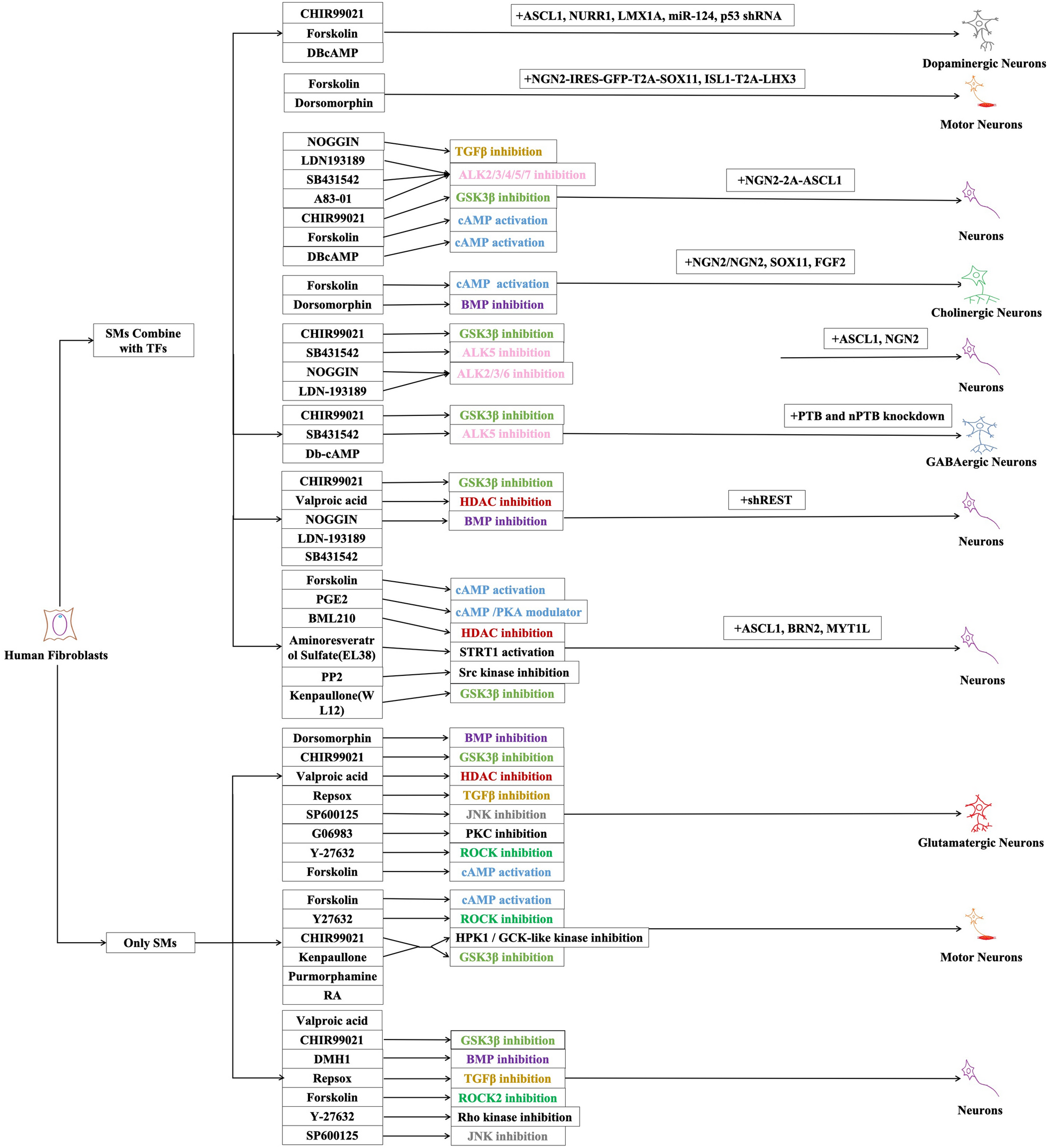 Fig. 2