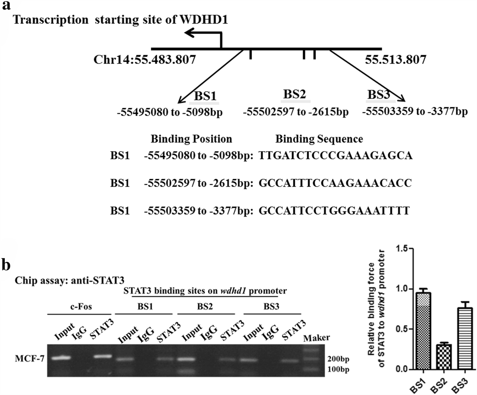 Fig. 4