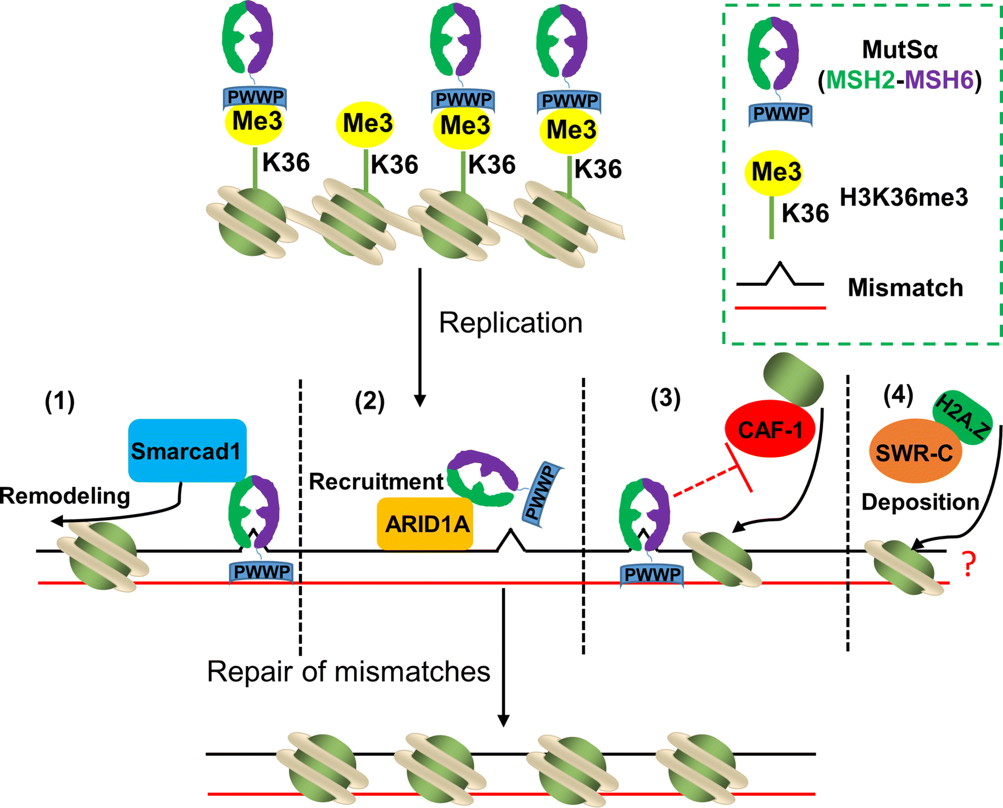 Fig. 1