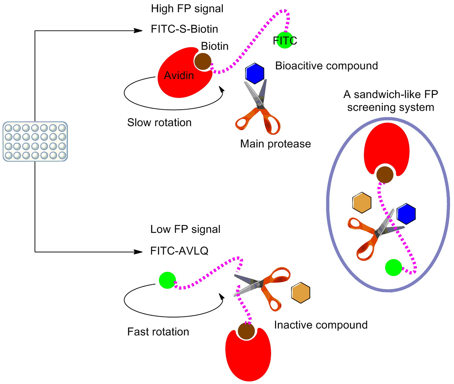 Fig. 2