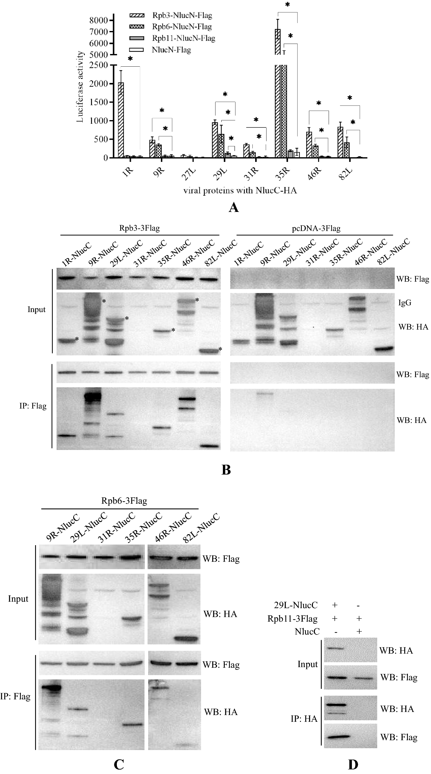 Fig. 8