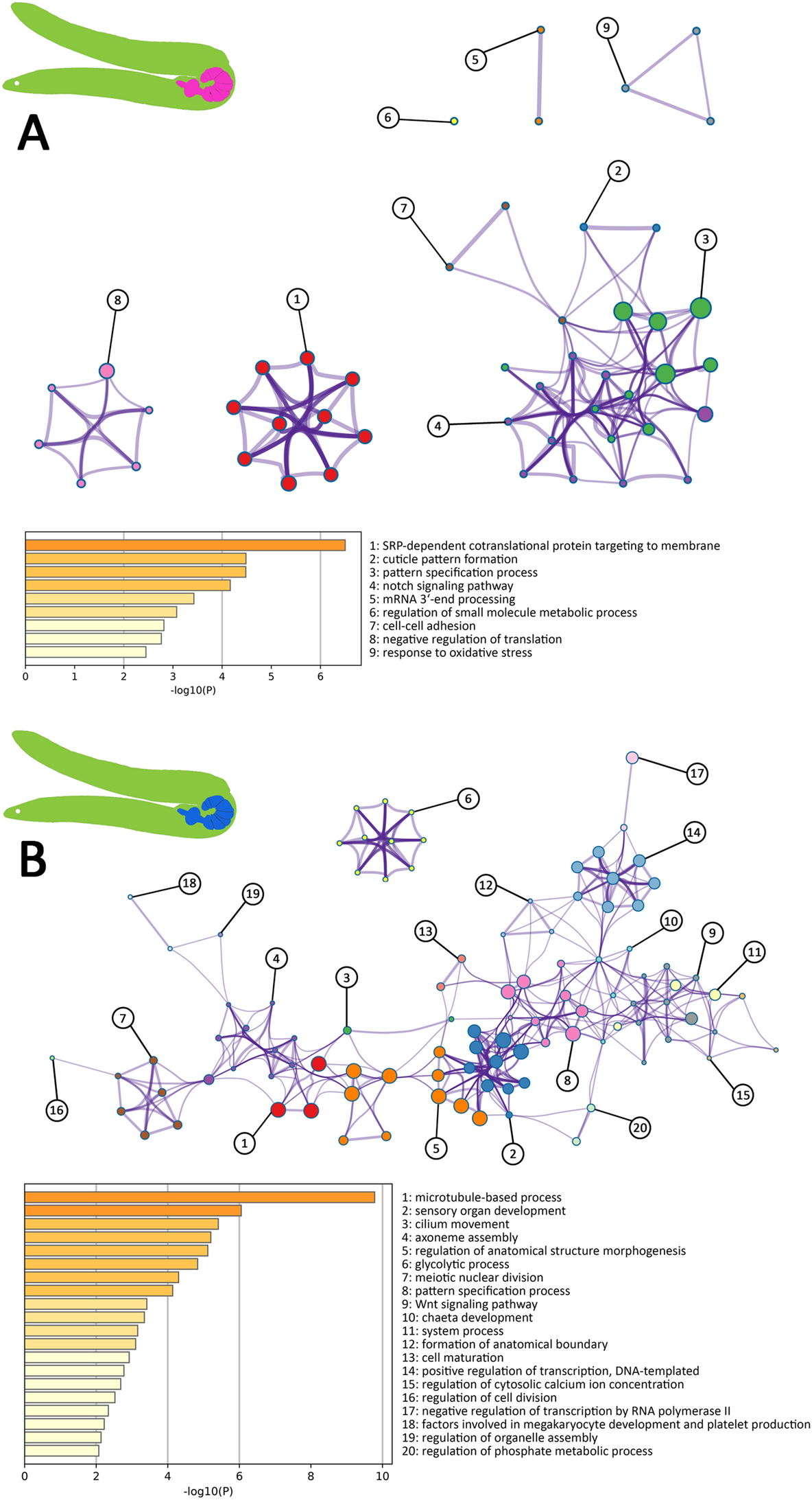 Fig. 8