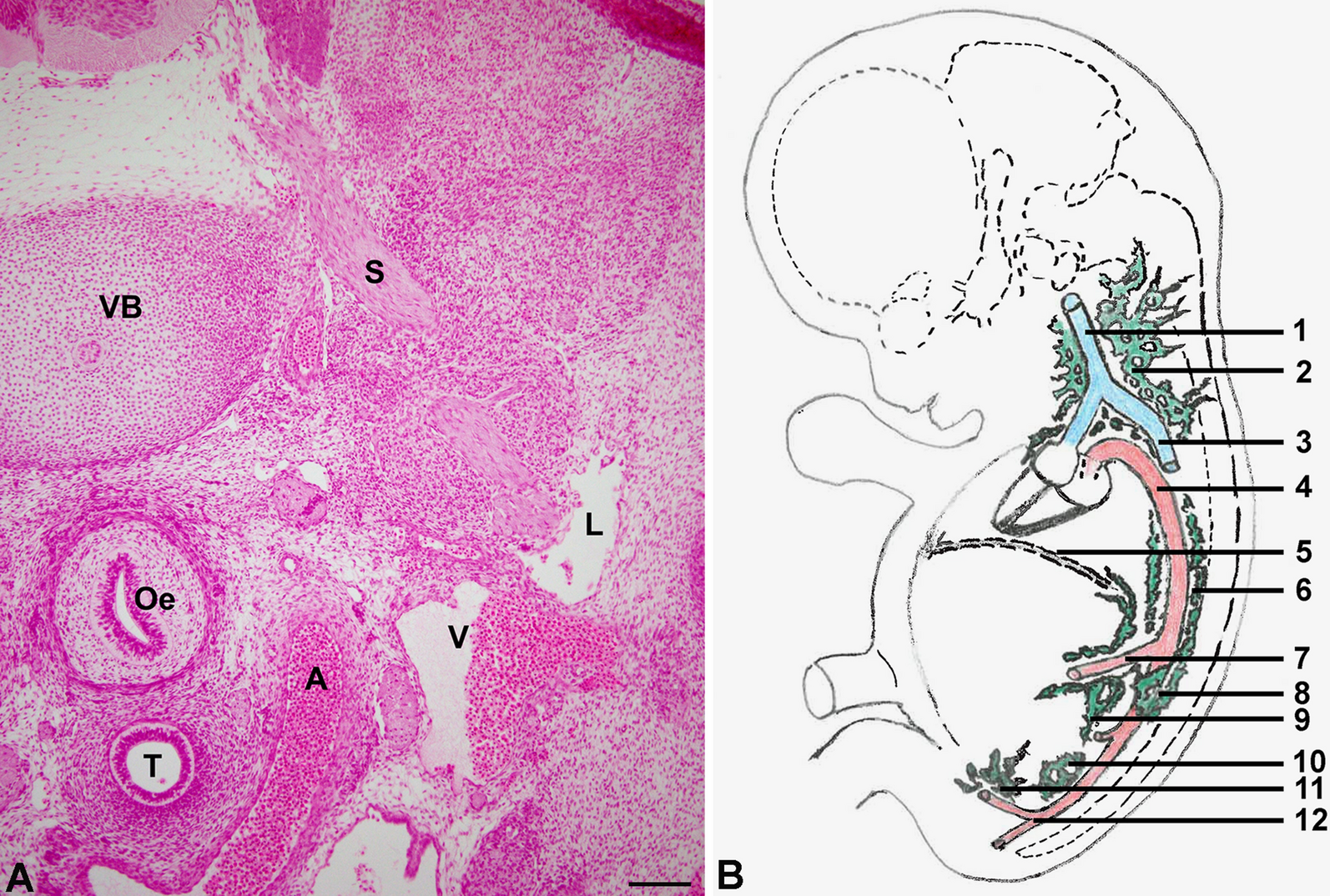 Fig. 7