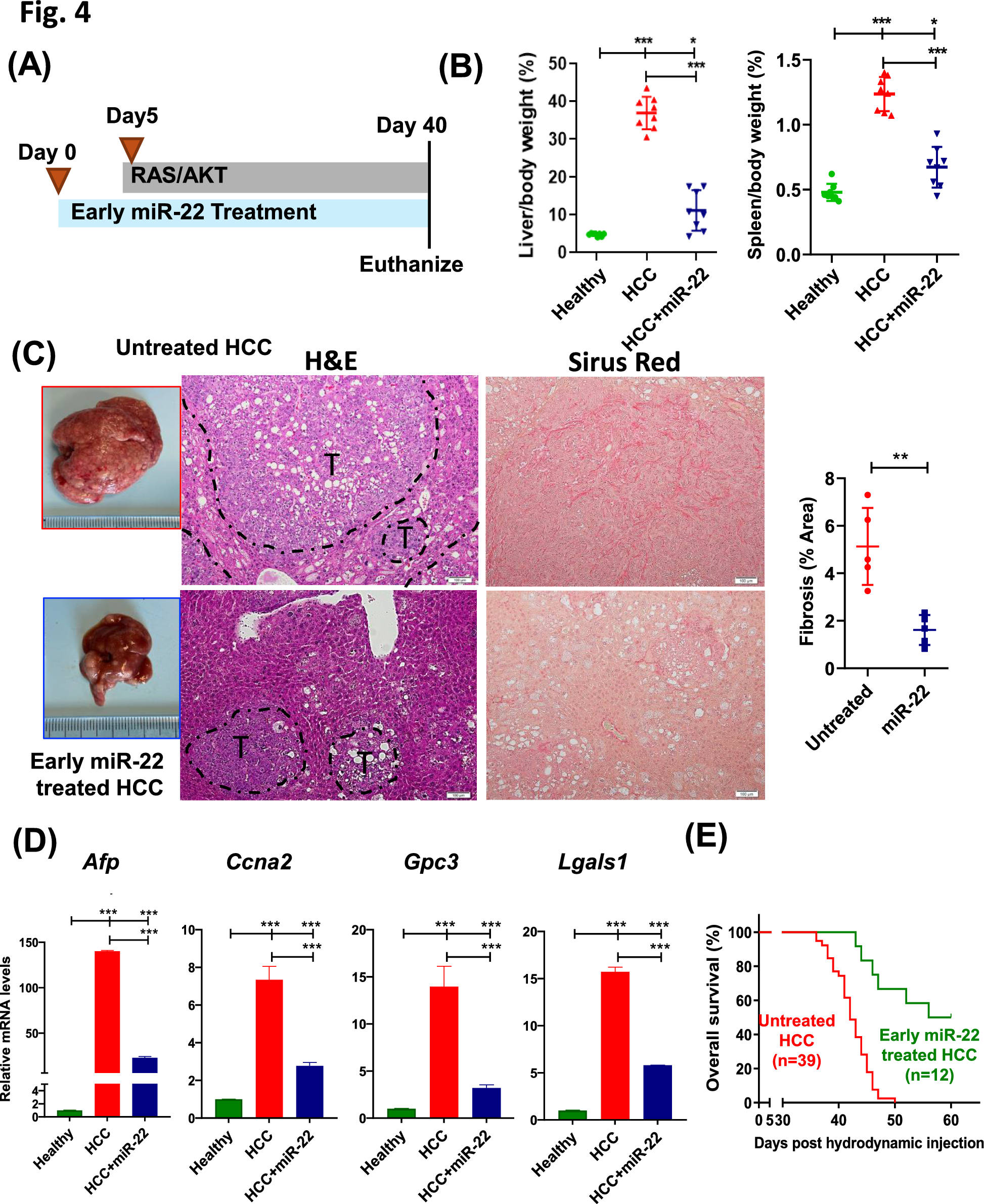 Fig. 4