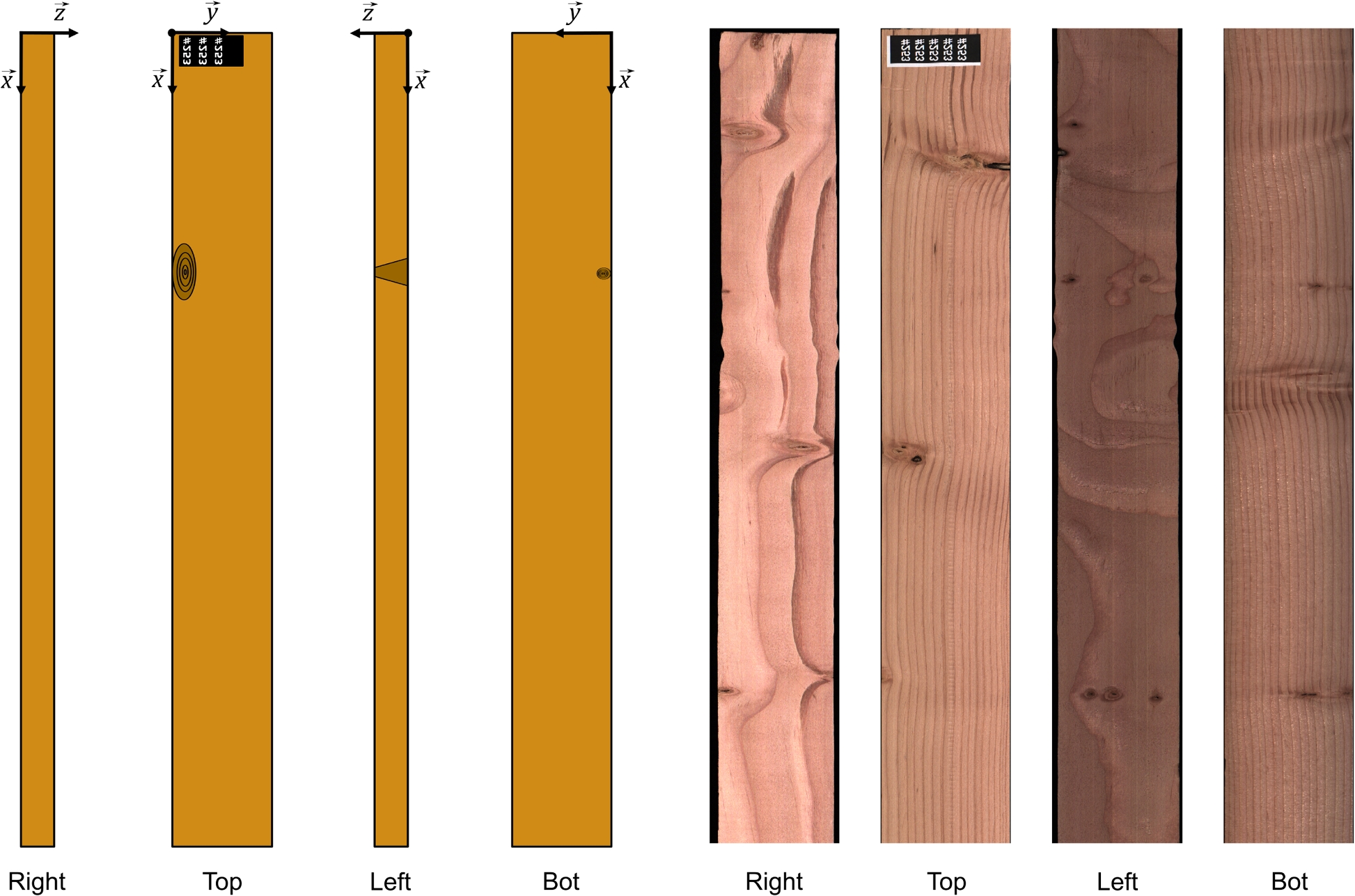 Fig. 10