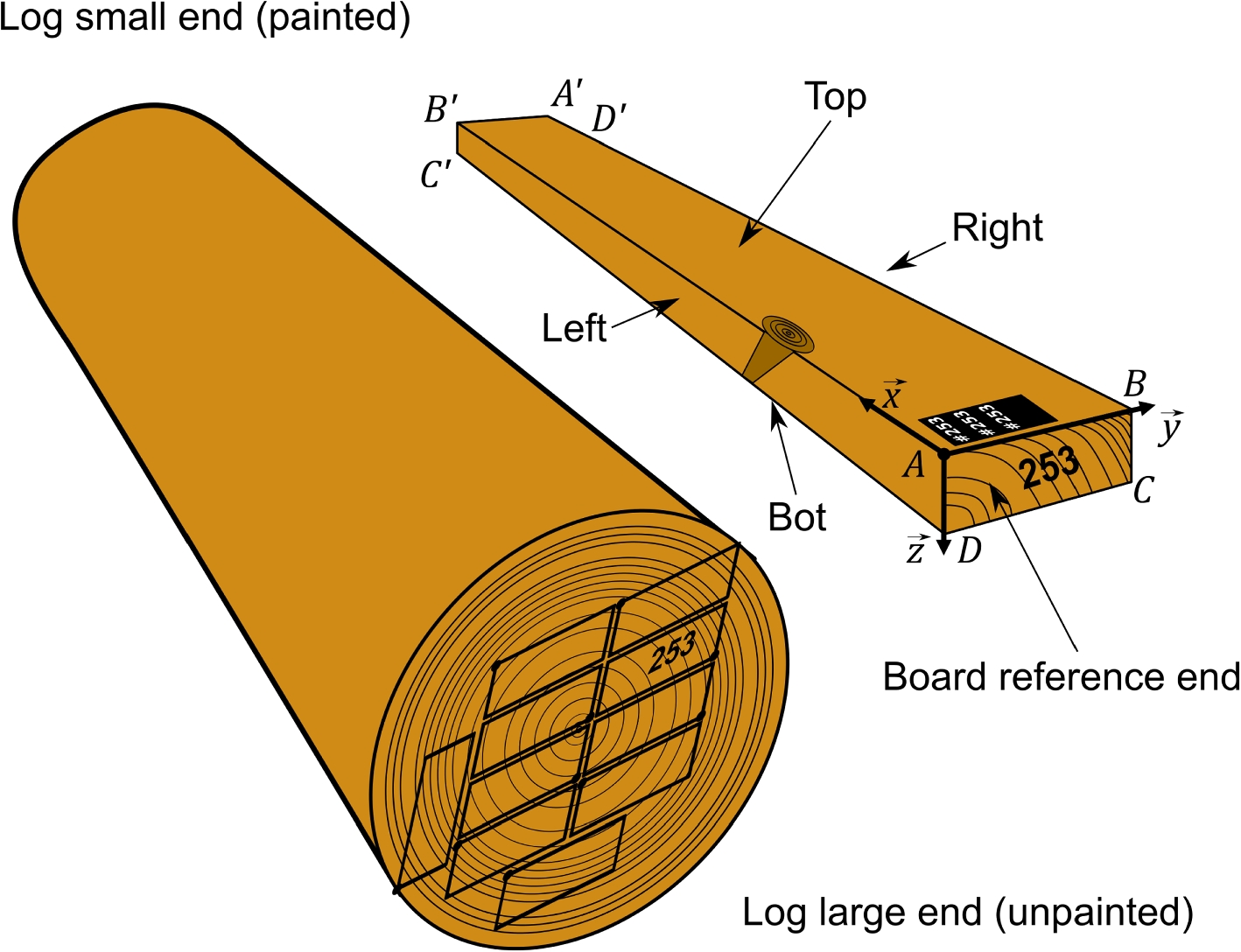 Fig. 7