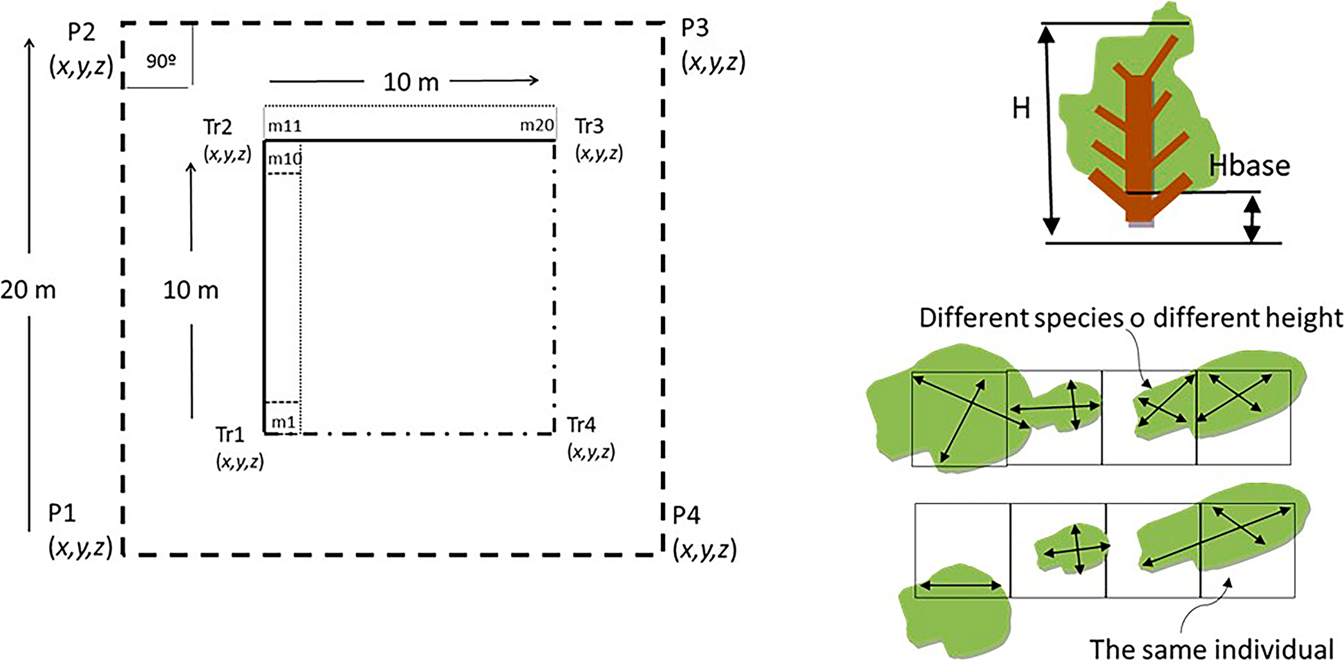 Fig. 2