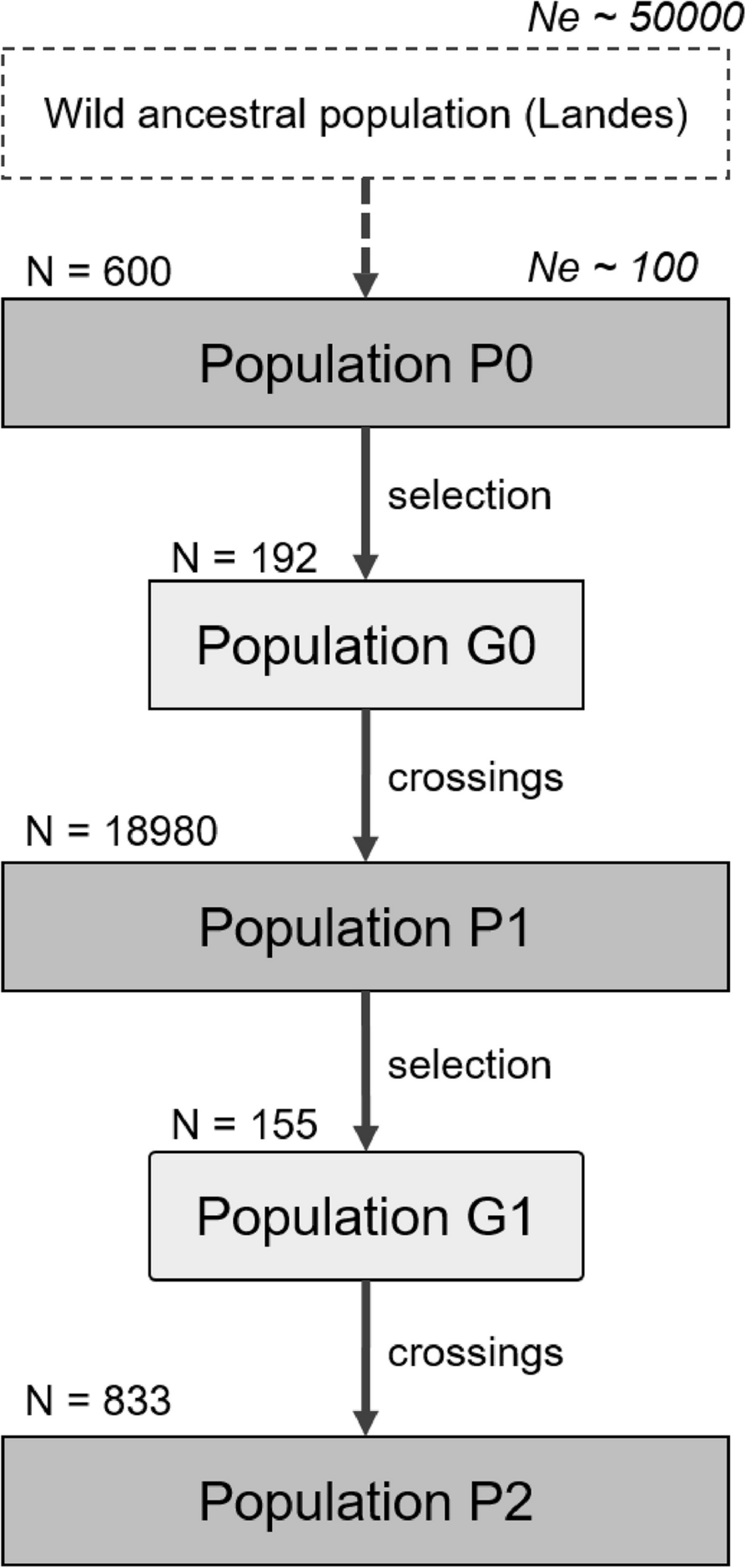 Fig. 15