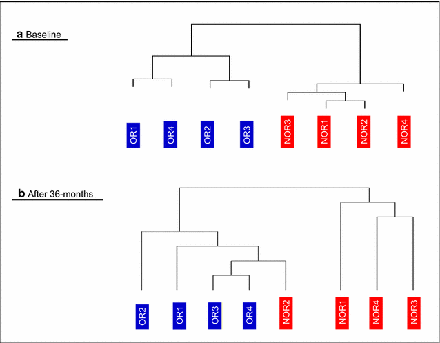 Fig. 6