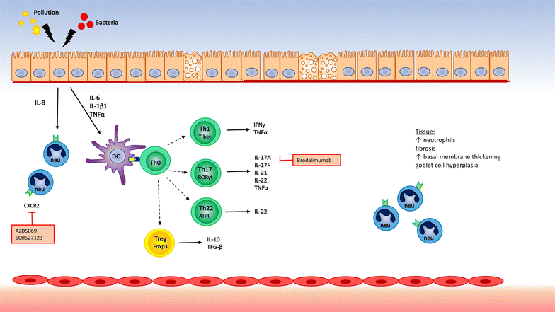 Fig. 3