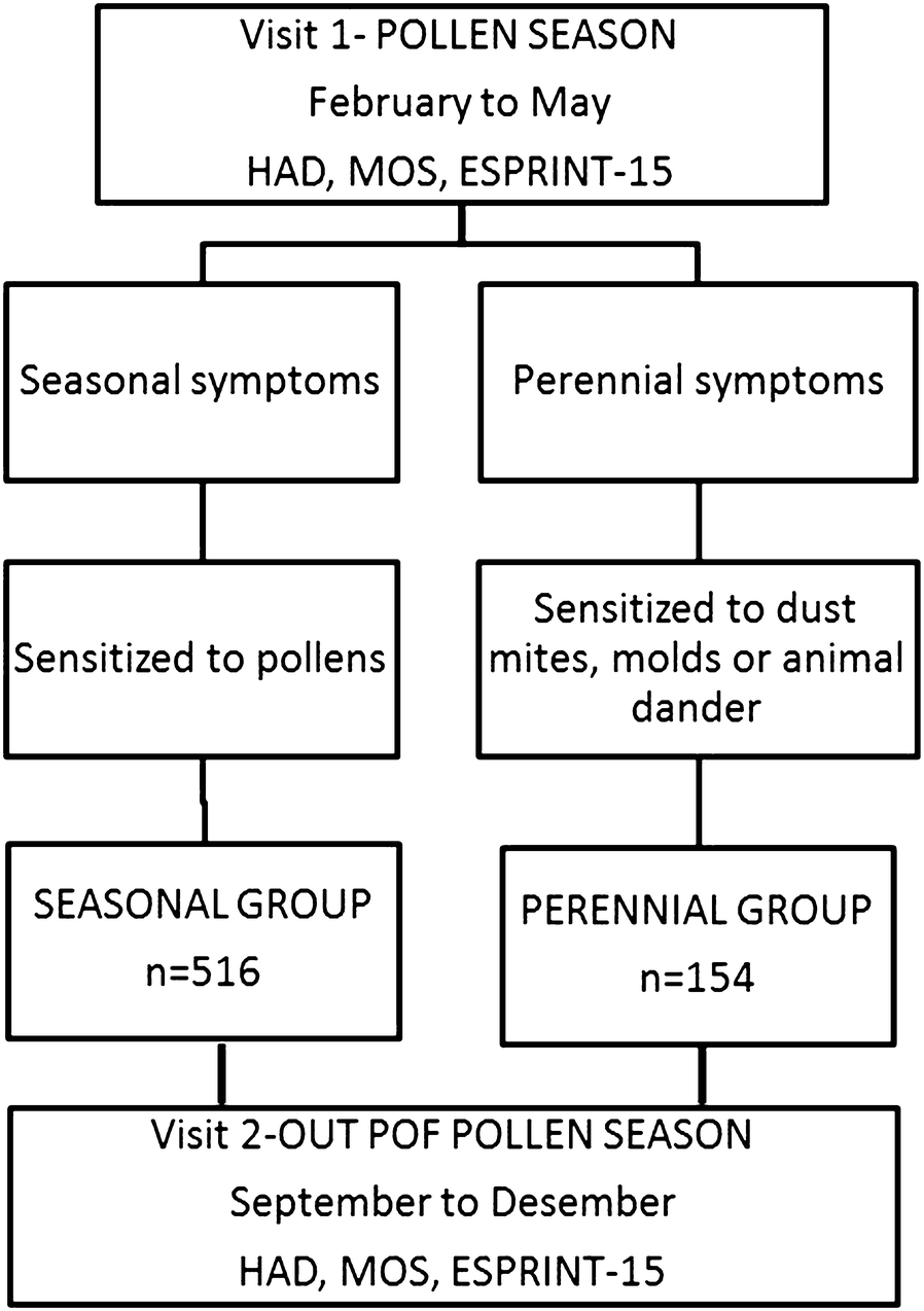 Pathophysiology Of Rhinitis In Flow Chart