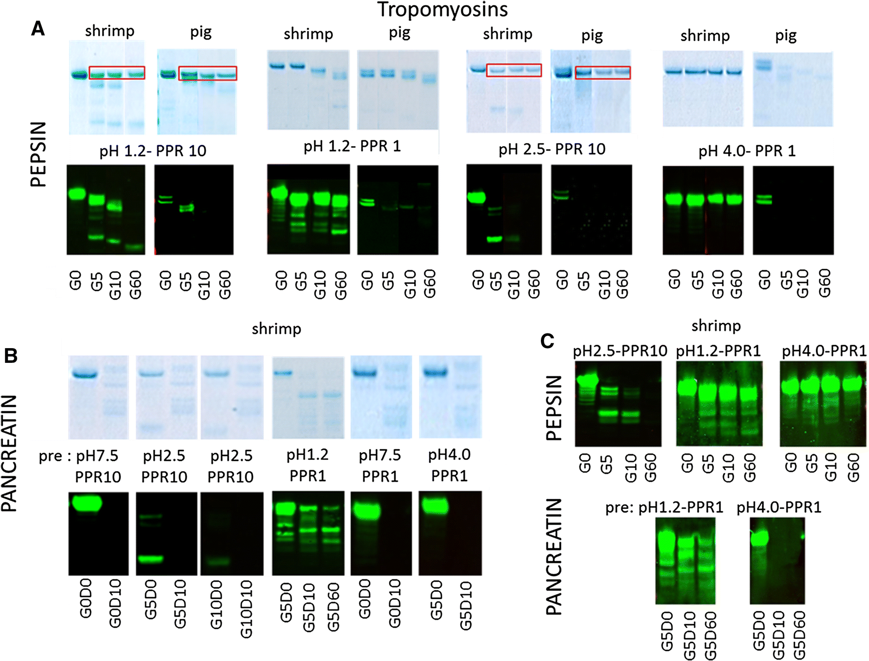 Fig. 4