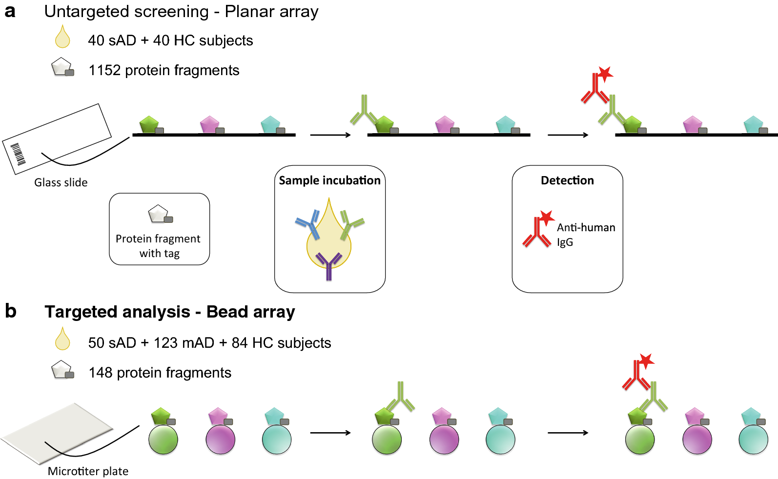 Fig. 1