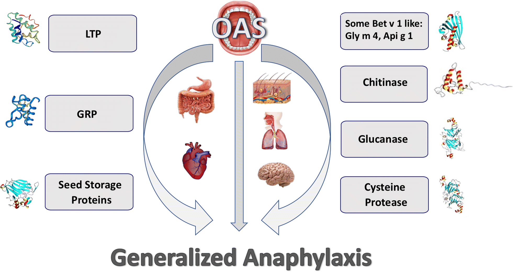 Fig. 4