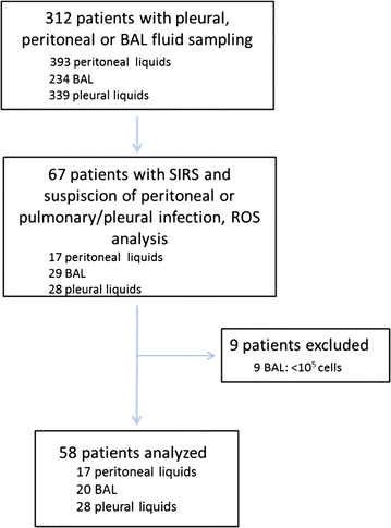 Fig. 1