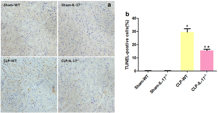 Fig. 6