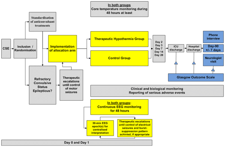 Fig. 1