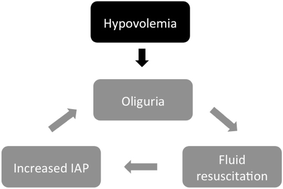 Fig. 8