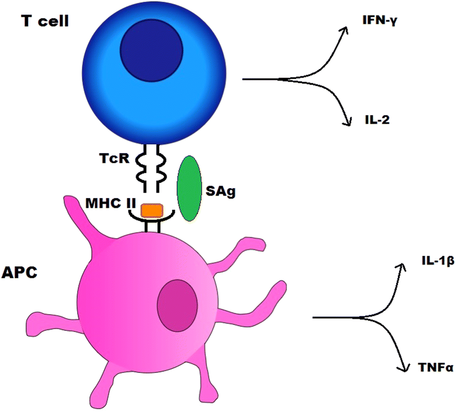 Fig. 3