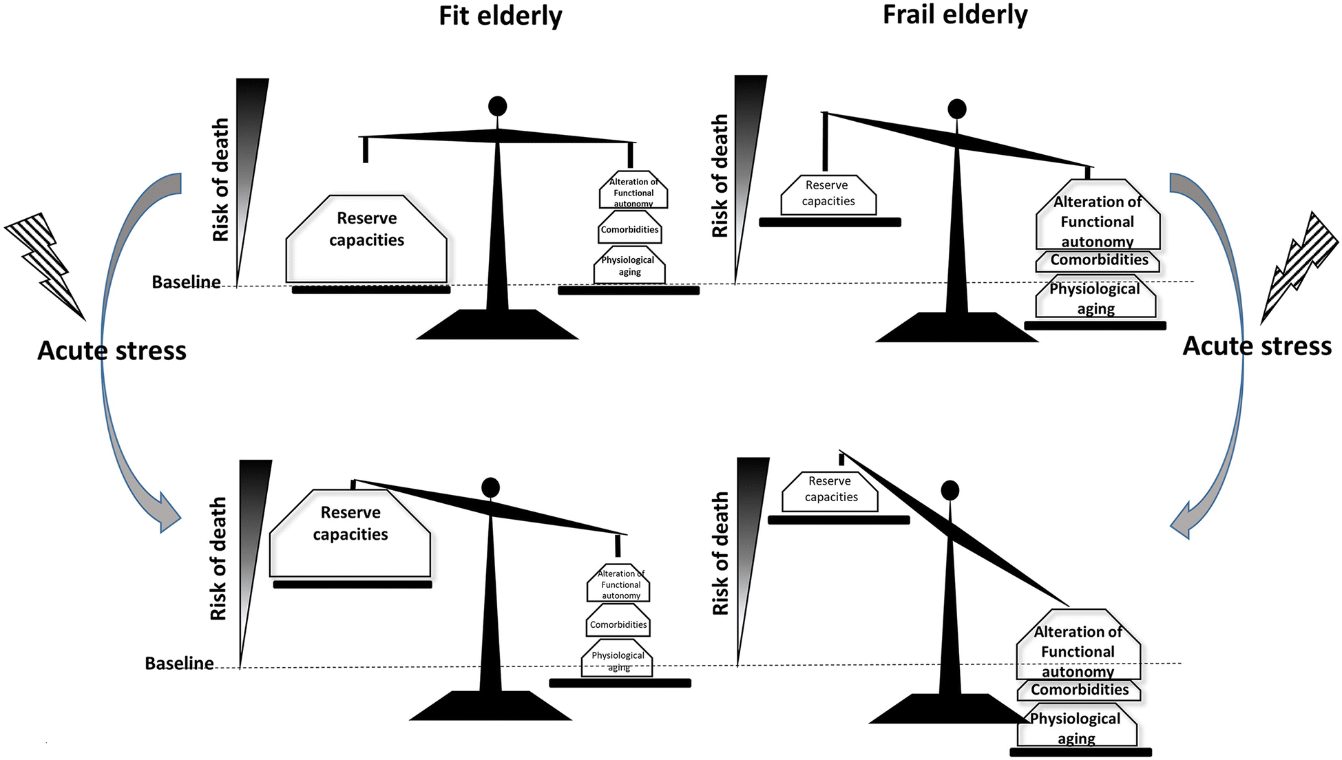 Fig. 2