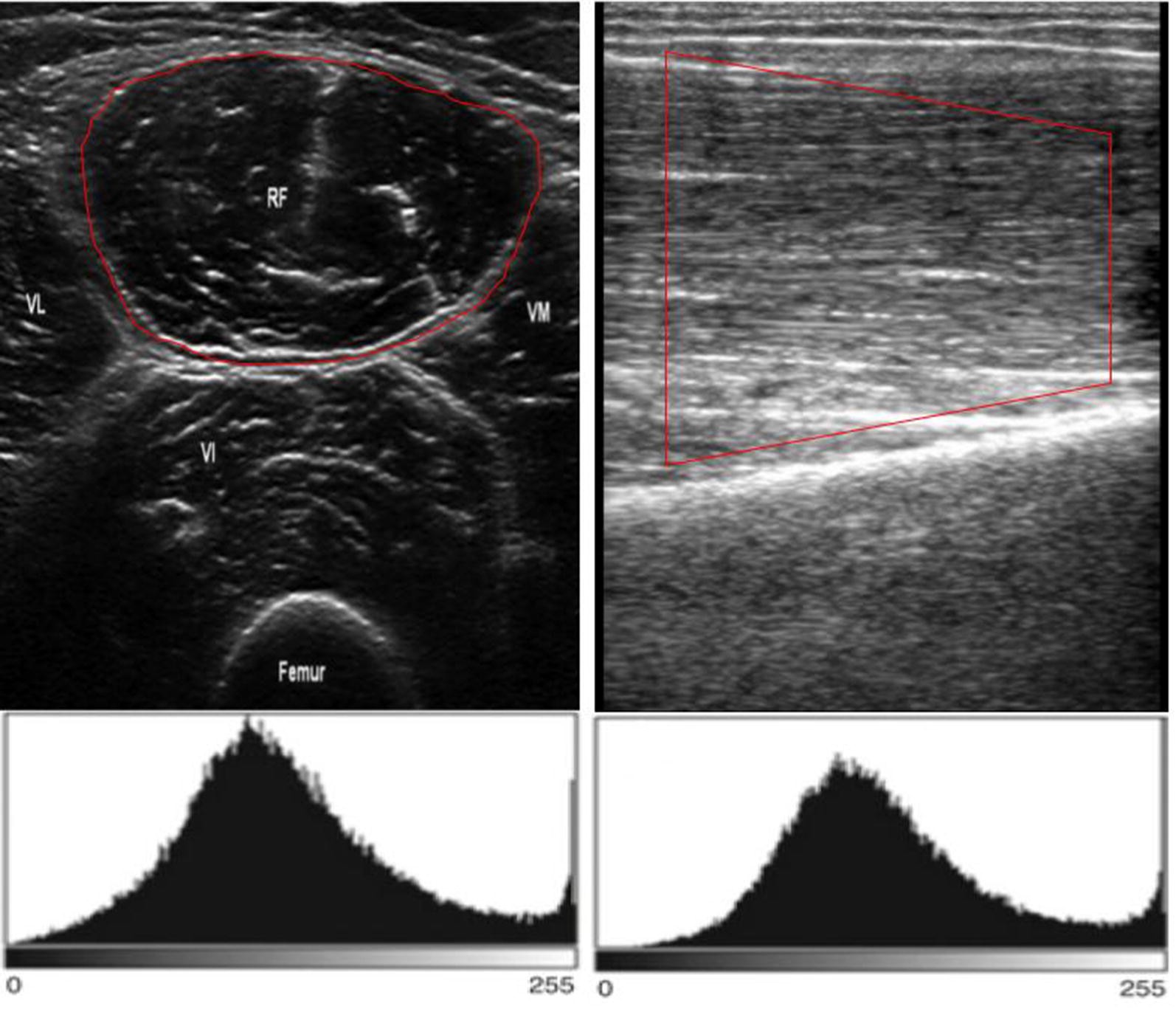 Fig. 4