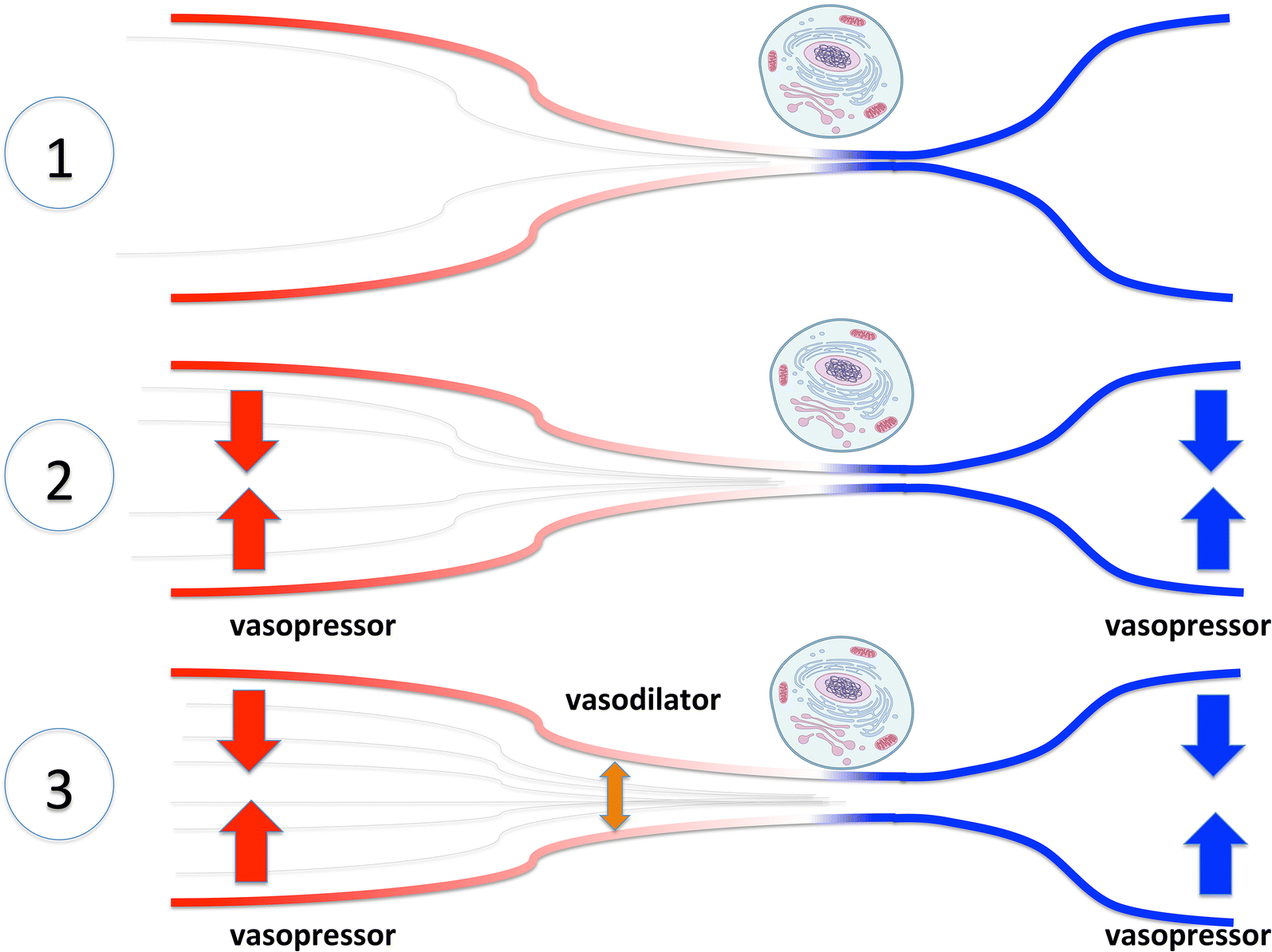 Fig. 1