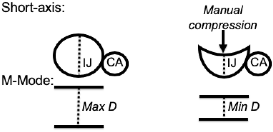 Fig. 2