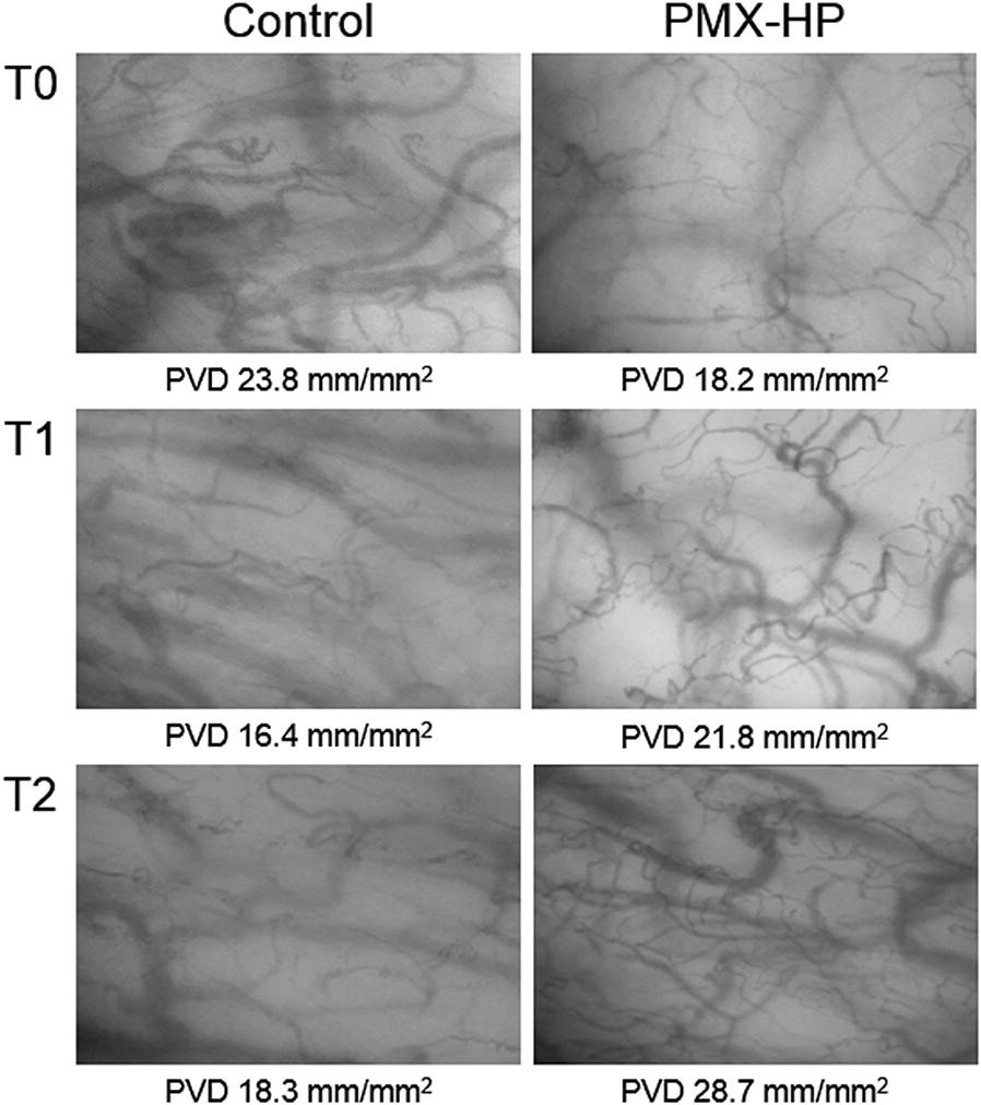 Fig. 2