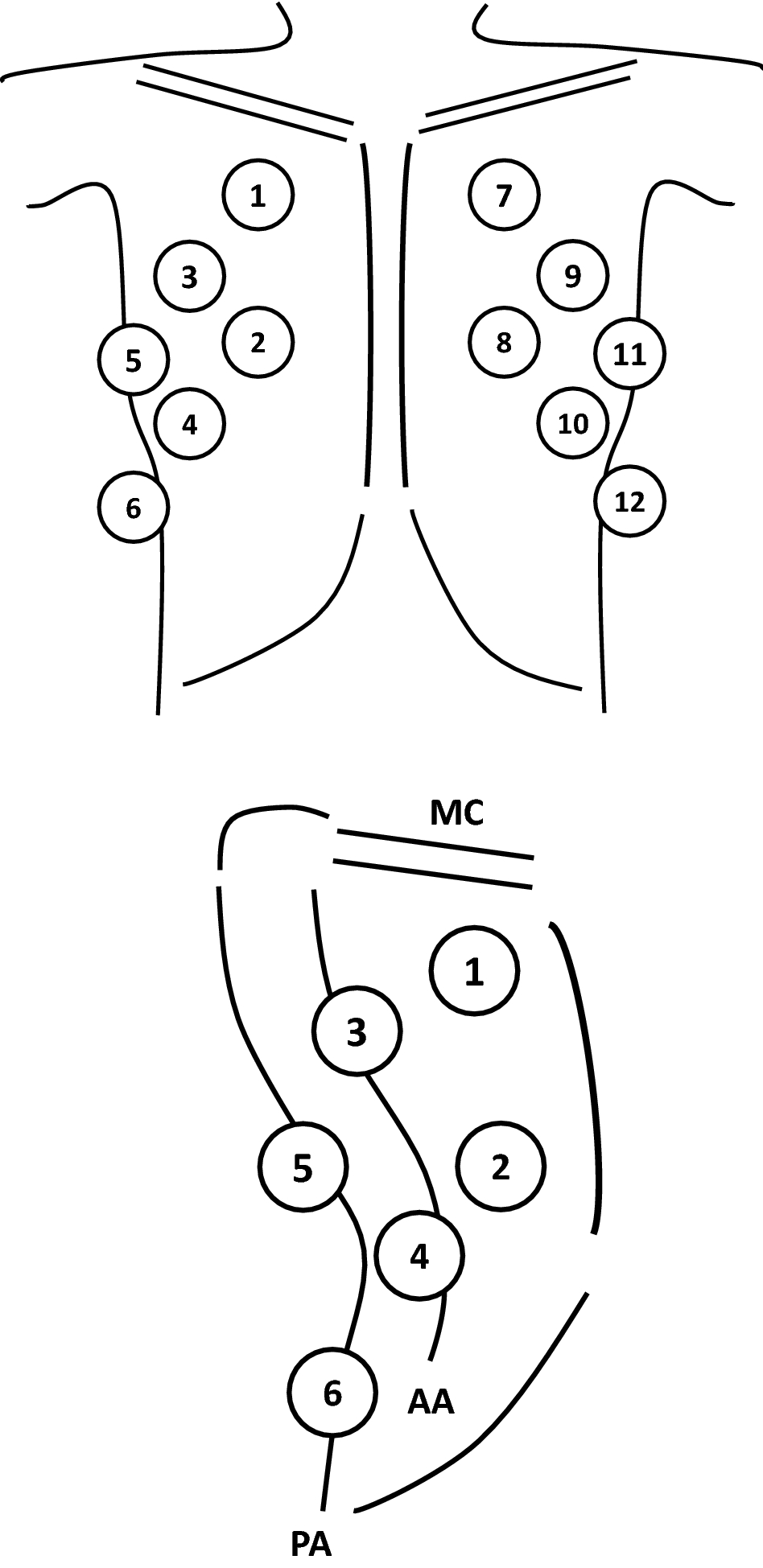 Fig. 1