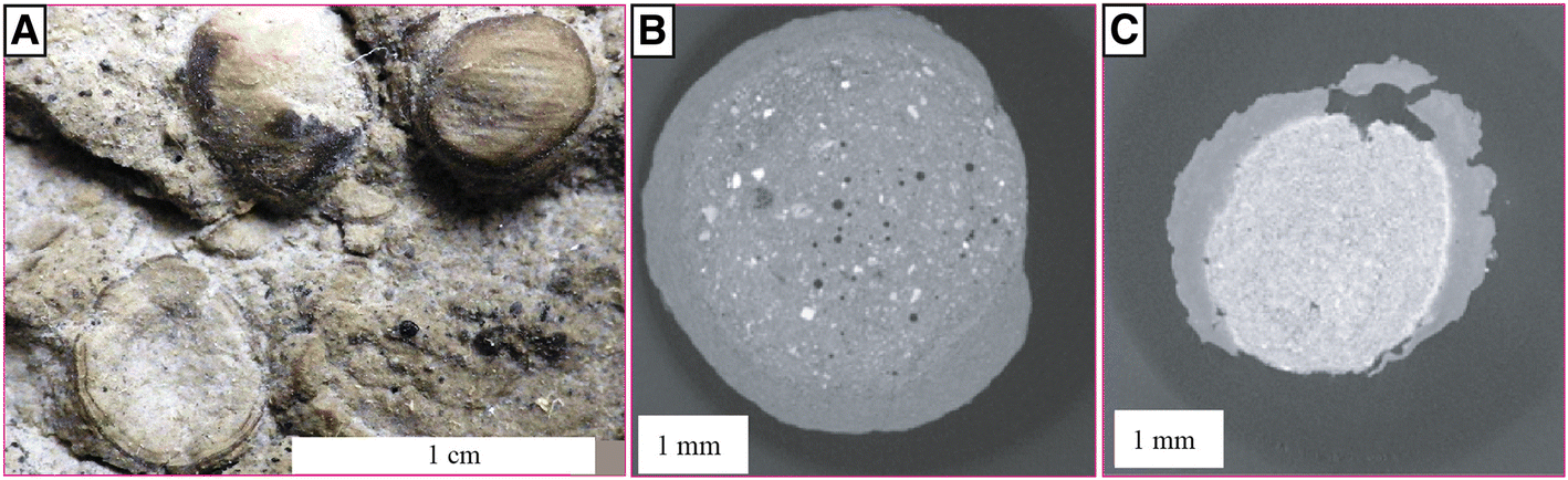 Fig. 6